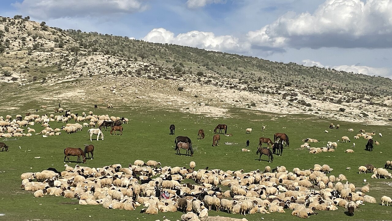 Ilam province