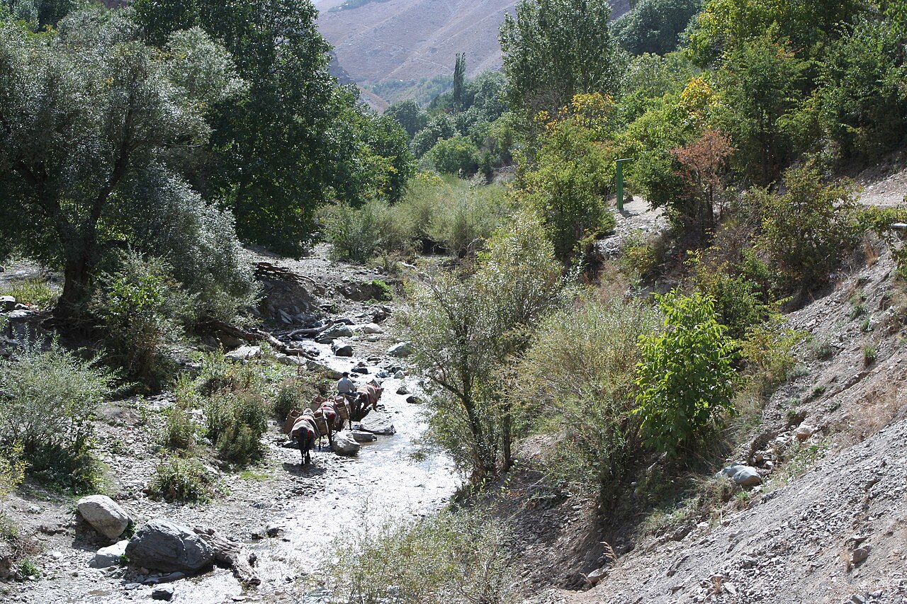 Tehran province